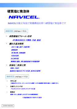 NAVICEL データーシート