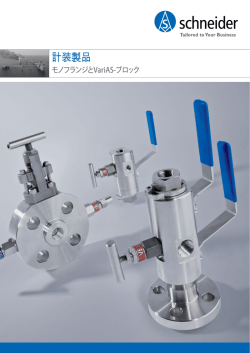 計装製品 - Armaturenfabrik Franz Schneider