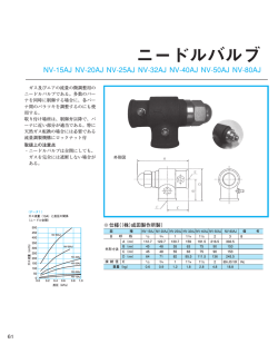 ニードルバルブ