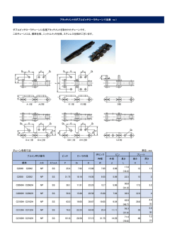 アタッチメント付ダブルピッチローラチェーン
