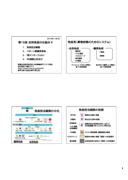 第18回講義プリント