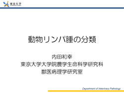 動物リンパ腫の分類 - 東京大学大学院農学生命科学研究科獣医学専攻