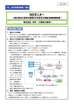 NSモニター（PDF：1724KB）