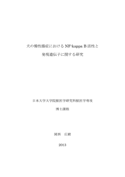 犬の慢性腸症における NF-kappa B 活性と 発現