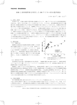 ESR と放射線照射を利用した OH ラジカル消去能評価法