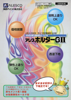 溶剤上塗り OK 価格据置 透湿下地 弾性上塗り OK