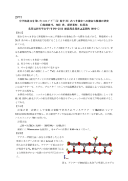 分子軌道法を用いたコロイド TiO2 粒子/Ni めっき膜中への複合化機構の