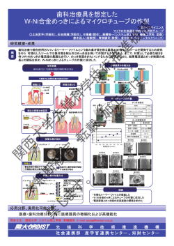 歯科治療具を想定したW-Ni合金めっきによるマイクロチューブ