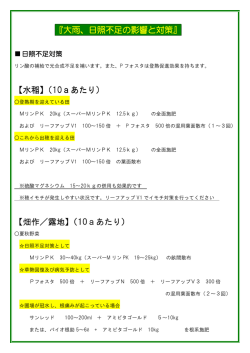 大雨、日照不足対策