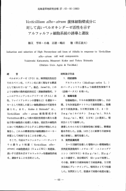 Verticillium albo-atrum菌体細胞壁成分に対して高いペ/レオキシダーゼ