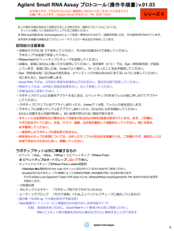 Small RNA キット 実験プロトコル簡易版 v01.03（PDF、360KB）