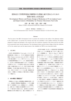 固体高分子形燃料電池の触媒層のPt削減と耐久性向上のための 開発の