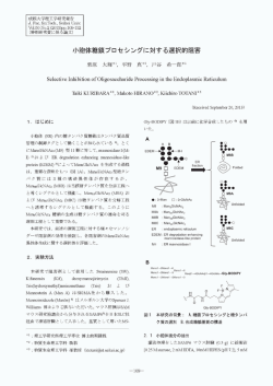 Page 1 Page 2 成 蹊 大 学王里 エ 学研 究 報 告 2