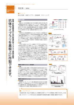 抗体ライブラリを基板上に作製できます。
