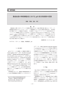 本文PDF [2195K] - J