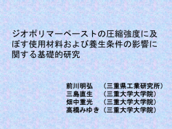 ジオポリマー POC