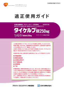 適正使用ガイド - Tykerb.jp