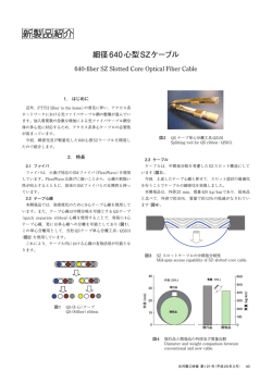 全文（PDF 795KB）