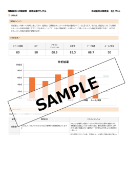 診断結果サンプル - テクニカルサポート QQ-Web