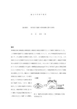 RB E2F RB E2F RB E2F RB E2F