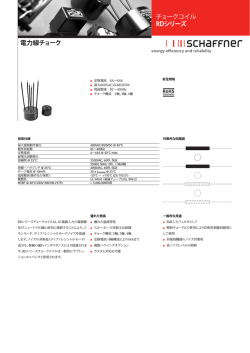 電力線チョーク チョークコイル RDシリーズ