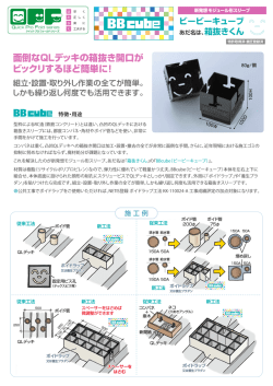 BBcubeカタログ