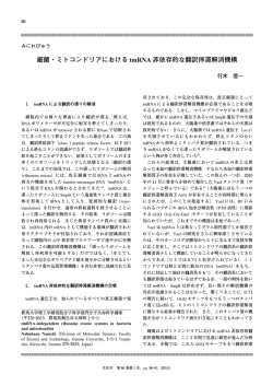 細菌・ミトコンドリアにおける tmRNA 非依存的な翻訳停滞解消機構