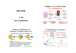 Catalysis: Stabilization of Reaction Transition State (TS)
