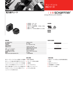 電力線チョーク チョークコイル RNシリーズ