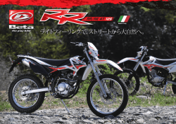 RR125 - Betamotor Japan