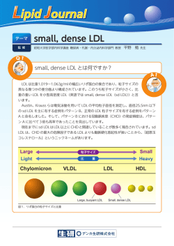 PDF（全ページ ダウンロード）