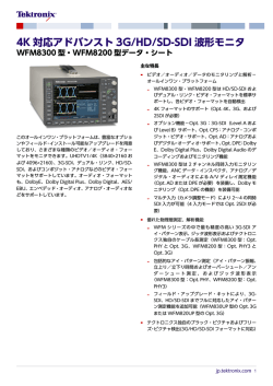 4K 対応アドバンスト 3G/HD/SD-SDI 波形モニタ