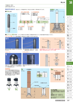 SJC1 TD SJ C2 TD-L TD TD-L