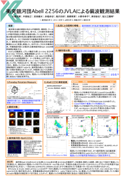 衝突銀河団 Abell 2256 の JVLA による偏波観測結果