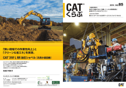 CAT 311F L RR