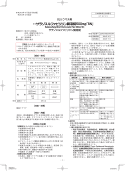 腸溶錠500mg「SN」