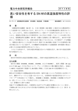 高い安全性を有する SN 材の高温強度特性の評 価