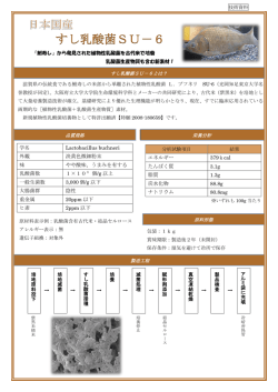 すし乳酸菌SU－6