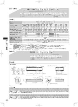30 ボールネジ駆動 ［セット形式］ ［軸形式］ BA3 &minus; 50F &minus; ST &minus; M 20 N
