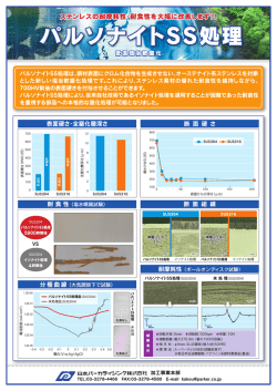 パルソナイトSS処理