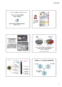 ロタウイルスの分子疫学: 私はこう考える
