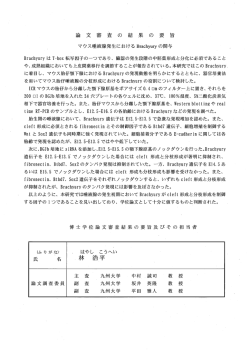 Brachyury は Tb。x 転写因子の一つであり、 臓器の発生段階