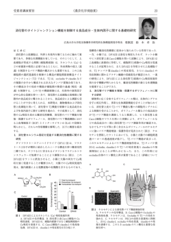 消化管のタイトジャンクション機能を制御する食品成分・生体内因子