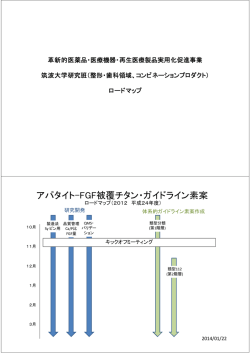 H25年度ロードマップ（PDF形式）