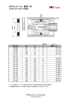 ピストンシール 型式：TK