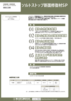 ソルトストップ断面修復材SP