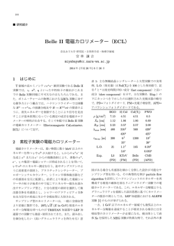Belle II 電磁カロリメーター（ECL）