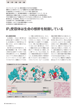 IP3受容体は生命の根幹を制御している