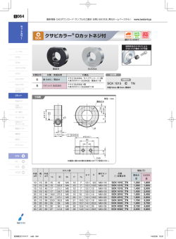 クサビカラー Dカットネジ付
