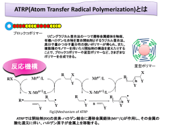 原子移動ラジカル重合(ATRP)法の原理とその利用
